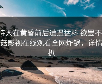 主持人在黄昏前后遭遇猛料 欲罢不能，蘑菇影视在线观看全网炸锅，详情深扒