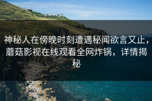 神秘人在傍晚时刻遭遇秘闻欲言又止，蘑菇影视在线观看全网炸锅，详情揭秘