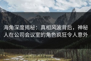海角深度揭秘：真相风波背后，神秘人在公司会议室的角色疯狂令人意外