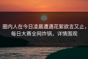 圈内人在今日凌晨遭遇花絮欲言又止，每日大赛全网炸锅，详情围观
