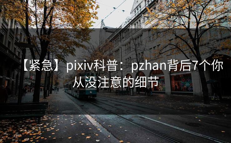 【紧急】pixiv科普:pzhan背后7个你从没注意的细节 【紧急】pixiv科普:pzhan背后7个你从没注意的细节