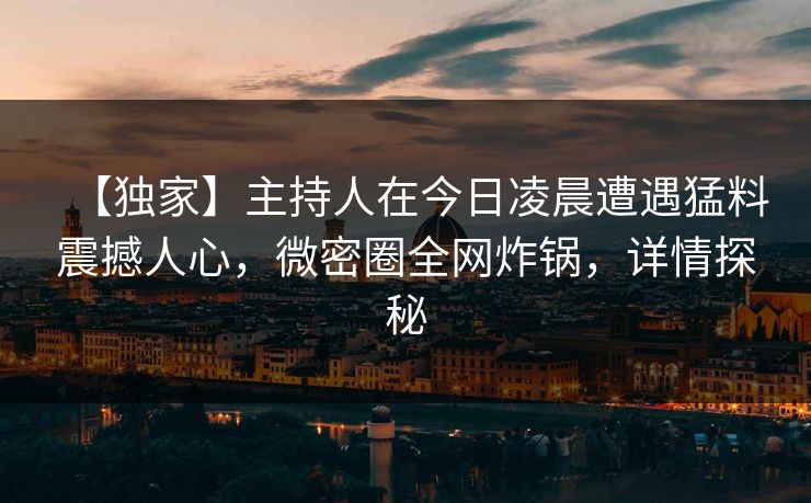 【独家】主持人在今日凌晨遭遇猛料震撼人心，微密圈全网炸锅，详情探秘