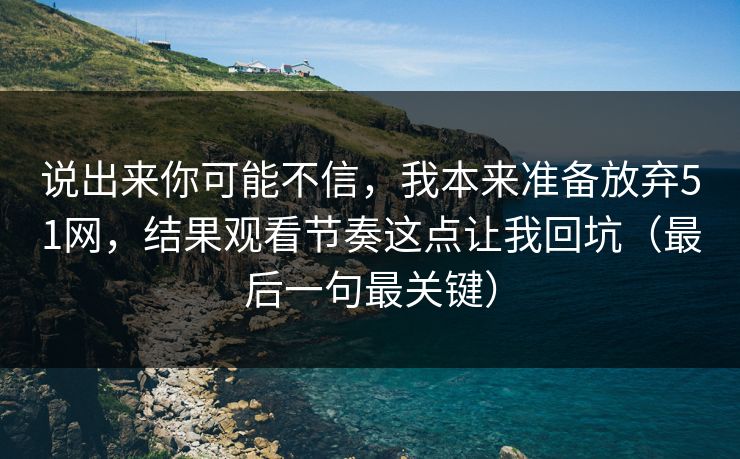 说出来你可能不信，我本来准备放弃51网，结果观看节奏这点让我回坑（最后一句最关键）